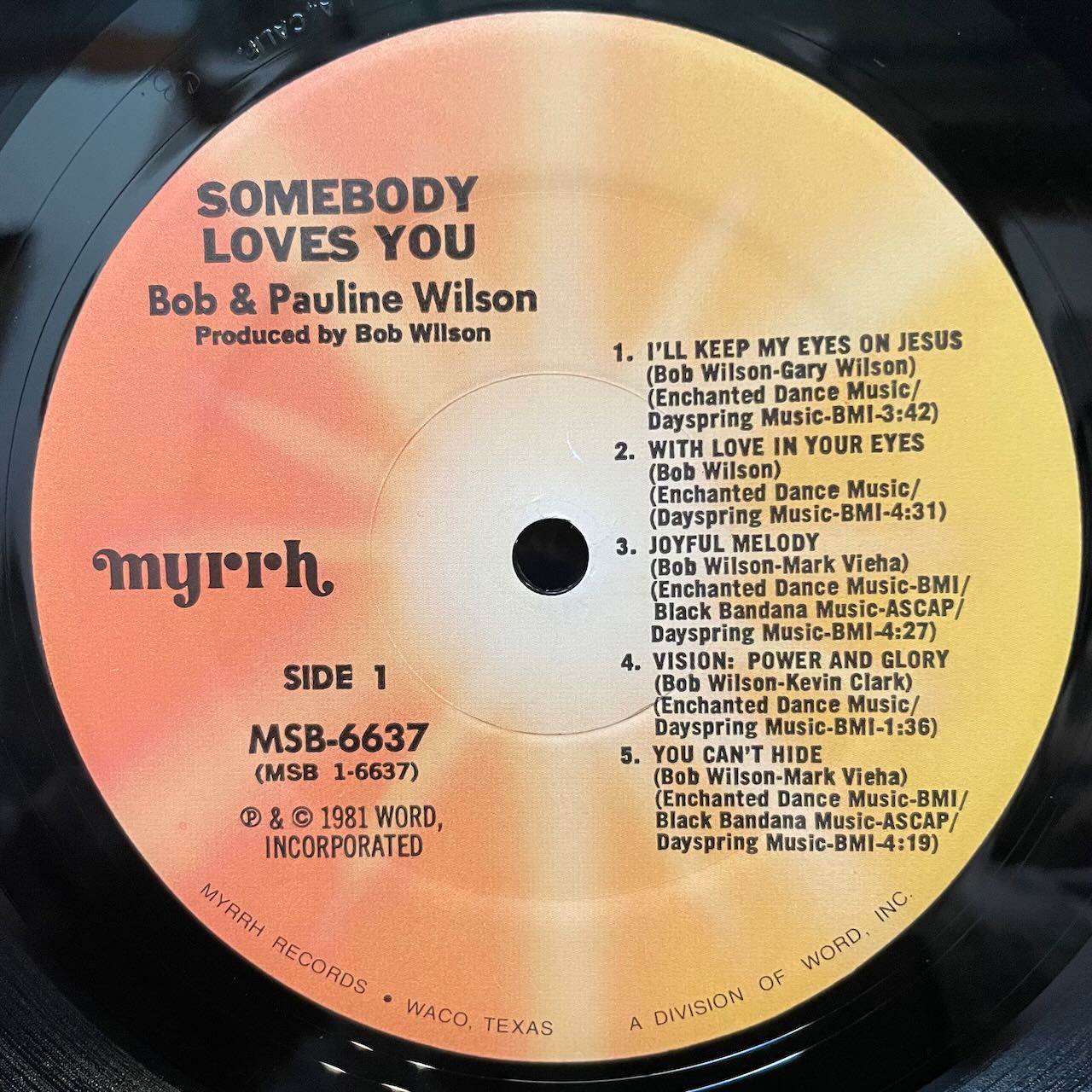 SOMEBODY LOVES YOU/BOB & PAULINE WILSON/中古レコード通販 SOMEBODY LOVES YOU/BOB & PAULINE WILSON/中古レコード通販